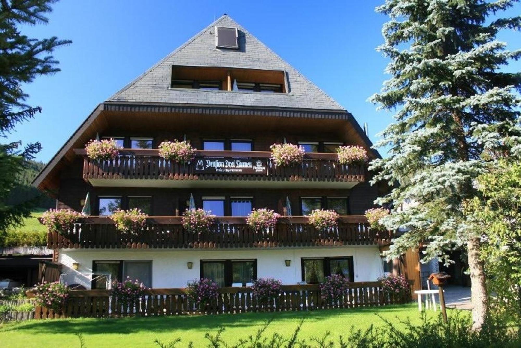 Drei Tannen - Wohnung 07 - Apartmenthaus, Titisee, Feldberg Buitenkant foto